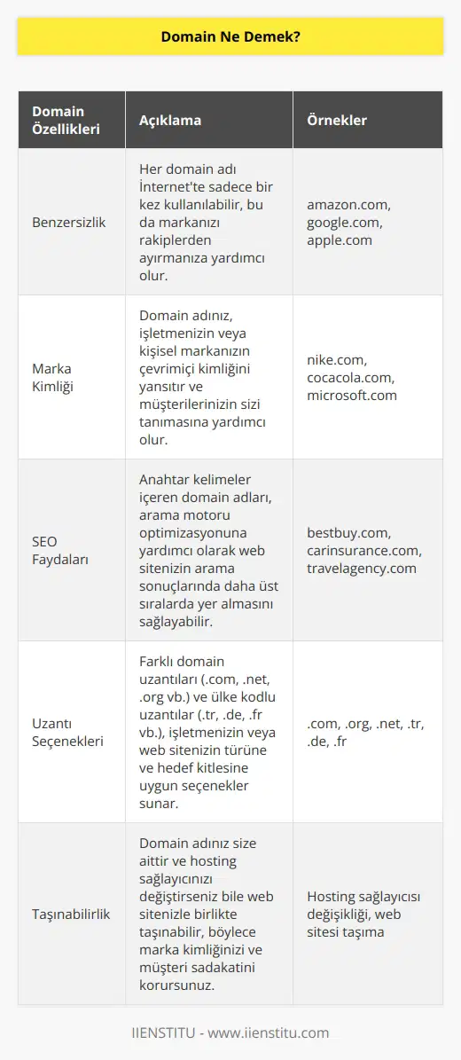 Domain yani alan adı, kullanıcıların web sitenizi ziyaret etmek için tarayıcı URL çubuğuna yazdıkları web sitenizin adresidir. Basit bir ifadeyle, web siteniz bir evse alan adınız da ev adresinizdir. Domain, işletmenizi veya webdeki kişisel markanızı temsil ettiğinden çok önemlidir.