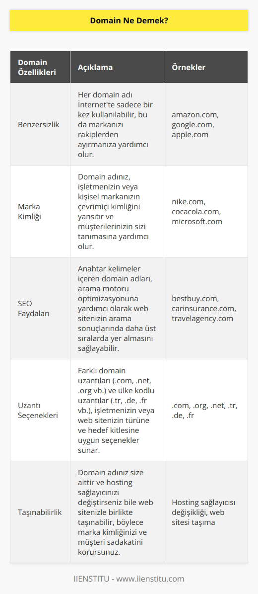 Domain yani alan adı, kullanıcıların web sitenizi ziyaret etmek için tarayıcı URL çubuğuna yazdıkları web sitenizin adresidir. Basit bir ifadeyle, web siteniz bir evse alan adınız da ev adresinizdir. Domain, işletmenizi veya webdeki kişisel markanızı temsil ettiğinden çok önemlidir.