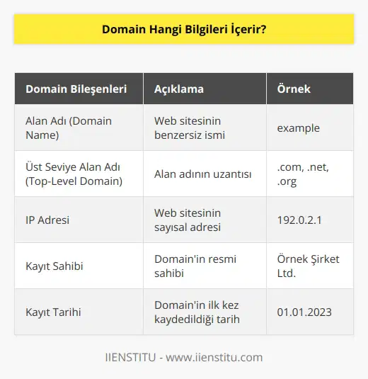 Domain, bir web sayfasına ait alan adı olup web sayfasının kimliğini belirten bir dize olarak tanımlanır. Domain, bir alan adının uzantısını içerir. Örneğin, www.example.com, “example” alan adının “.com” uzantısıyla birleştirilmesiyle oluşur. Domain, aynı zamanda ait olduğu alan adının IP adresi, kayıt sahibi ve kayıt tarihi gibi bilgileri de içerir.