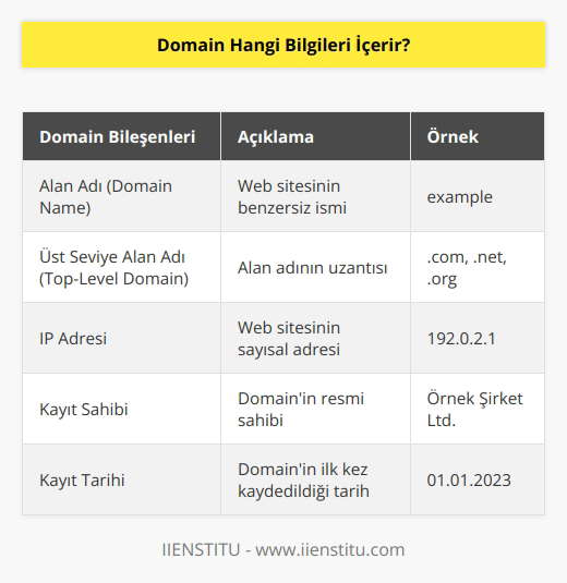 Domain, bir web sayfasına ait alan adı olup web sayfasının kimliğini belirten bir dize olarak tanımlanır. Domain, bir alan adının uzantısını içerir. Örneğin, www.example.com, “example” alan adının “.com” uzantısıyla birleştirilmesiyle oluşur. Domain, aynı zamanda ait olduğu alan adının IP adresi, kayıt sahibi ve kayıt tarihi gibi bilgileri de içerir.