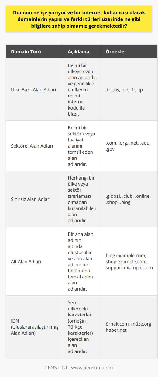 Domainler ve Kullanıcılar İçin Önemi Domain (alan adı) kavramı, internet kullanıcılarının web sitelerini ziyaret etmek için tarayıcıya yazdıkları adrestir ve bu sayede kullanıcılar, IP adresi gibi karmaşık numara dizilimlerini hatırlamak zorunda kalmadan kolayca siteye erişebilirler. Domainlerin yapısı ve farklı türlerini bilmek, internet kullanıcıları için önemlidir. Domain Türleri ve Yapısı İlk olarak, domainler çeşitli kategorilere ayrılabilir ve bunların başlıcaları şunlardır: ülke bazlı alan adları (örneğin .tr), sektörel alan adları (örneğin .com, .org, gibi) ve sınırsız alan adları (örneğin .global). Bu farklı alan adı türlerinin kullanılma amacı ve kapsamı, işletmenin veya kişinin çevrimiçi varlığını ve içeriğini temsil eder. Domainler, insanların web sitelerini ziyaret etmek için tarayıcılara kolayca yazabileceği ve hatırlayabileceği şekilde tasarlanmıştır. Bu sayede, kullanıcılar IP adresleri gibi karmaşık sayı dizilerini kullanmak zorunda kalmaz ve daha kullanışlı bir deneyim yaşarlar. Alan Adlarının İşleyişi ve Yararı Her web sitesinin arkasında benzersiz bir IP adresi olup, alan adının girilmesi ile tarayıcının bu IP adresini sunucuya adını çevirdiği ve böylece kullanıcının siteye bağlandığı düşünülebilir. Bu durum, domain sisteminin işleyişini günlük hayattaki telefon rehberine benzeyen bir yapıya sahip olduğunu gösterir: rehberdeki adlar domainlere, telefon numaraları ise IP adreslerine karşılık gelmektedir. Domain Bilgisi İçin Öneriler Internet kullanıcıları ve özellikle yeni başlayanlar için, alan adı kavramına dair tüm teknik bilgiler zaman zaman karmaşık gelebilir. Bu bağlamda, domainler hakkında daha fazla bilgi edinmek ve bu süreçte gelişmek isteyenler, alan adlarına yönelik eğitimler ve rehberler ile donanımlı hale gelebilirler. Sonuç Domainler, internet dünyasında kullanıcıların ve işletmelerin varlığını sağlayan ve çeşitli türlerine ayrılarak onların hedeflerine uygun yapıda oluşturulan önemli bir unsurdur. İnternet kullanıcılarının domainlerin yapısı ve türleri hakkında bilgi sahibi olması, daha etkin ve verimli bir web deneyimi yaşamalarına yardımcı olacaktır.