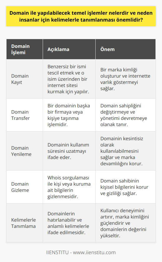 Domain ya da diğer bir adıyla alan adı, internetin kalbi olarak adlandırılan bir yapıdır. Domain, genel olarak, bir internet adresinin insanlar tarafından hatırlanabilen bir şekilde ifade edilmesini sağlar. Bu sayede, örneğin bir IP adresi (127.0.0.1 gibi) göz önüne alındığında, bu sayı diziliminin hatırlanması çok zordur. Bu nedenle, bu numaralar yerine, ii  .com gibi daha kolay hatırlanabilir bir isim kullanılır.   Domainler ile yapılabilecek temel işlemler; domain kayıt, transfer, yenileme ve gizleme işlemleri olarak sıralanabilir. Domain kayıt, belirli bir ismi tescil etmek ve o isim üzerinden bir internet sitesi kurmak için yapılır. Tescil edilmekte olan bu isim, benzersiz olduğundan başka hiçbir kişi ya da kurum tarafından kullanılamaz. Domain transfer ise, bir domainin başka bir firmaya veya kişiye taşınma işlemidir. Domain yenileme, domainin kullanım süresini uzatmayı ifade eder. Ek olarak, domain gizleme, whois sorgulaması ile kişi veya kuruma ait bilgilerin gizlenmesidir.  Domainlerin kelimelerle tanımlanmasının insanlar için önemi, bu kelimelerin hatırlanabilen ve anlamlı bir dil oluşturmasıdır. Yani, insanların hafızaları sayılar yerine isimleri daha kolay hatırlarlar ve bu isimler ayrıca bir marka kimliği oluşturur. Bu durum, domainlerin önemini ve değerini çok daha yükseğe çıkarır. Dolayısıyla, domainlerin kelimelerle ifade edilmesi kritiktir ve genel kullanıcı deneyimini büyük ölçüde artırır. Bu işlemlerin sunulması ve bu sonuçların elde edilmesi, kutlanması gereken bir teknolojik başarıdır. Bu nedenle, alan adı ve onun nasıl çalıştığını anlamak, internette her türlü etkinliği anlamak ve yönetmek için önemlidir.