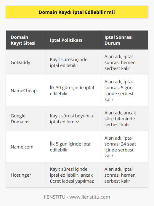 Bazı domain kayıt siteleri, alan adı kaydınızı istediğiniz zaman iptal etmenize olanak tanır. Kaydınızı iptal ederseniz, kayıt başkaları tarafından kullanılabilir hale gelir. Bazıları da alan adı kaydınızın iptal edilmesi için süresinin dolmasını bekler.