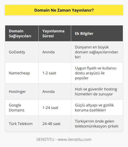 Domain genellikle anında yayınlanır. Bazı durumlarda, domain satın alındıktan sonra özel alan adı sunucularının güncellenmesi gerekebilir. Bu, genellikle birkaç saat alır.