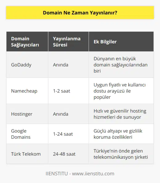 Domain genellikle anında yayınlanır. Bazı durumlarda, domain satın alındıktan sonra özel alan adı sunucularının güncellenmesi gerekebilir. Bu, genellikle birkaç saat alır.