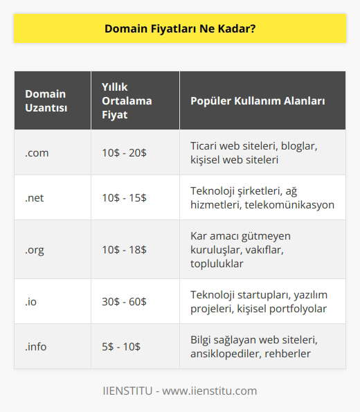 Domain fiyatları her alan adı kayıt şirketinden farklı olabilir. Bazı şirketler ücretsiz domain sunarken, diğerleri ortalama 10 dolardan başlayarak günlük olarak çok sayıda farklı alan adı kayıt seçeneği sunmaktadır.