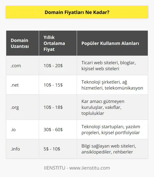 Domain fiyatları her alan adı kayıt şirketinden farklı olabilir. Bazı şirketler ücretsiz domain sunarken, diğerleri ortalama 10 dolardan başlayarak günlük olarak çok sayıda farklı alan adı kayıt seçeneği sunmaktadır.