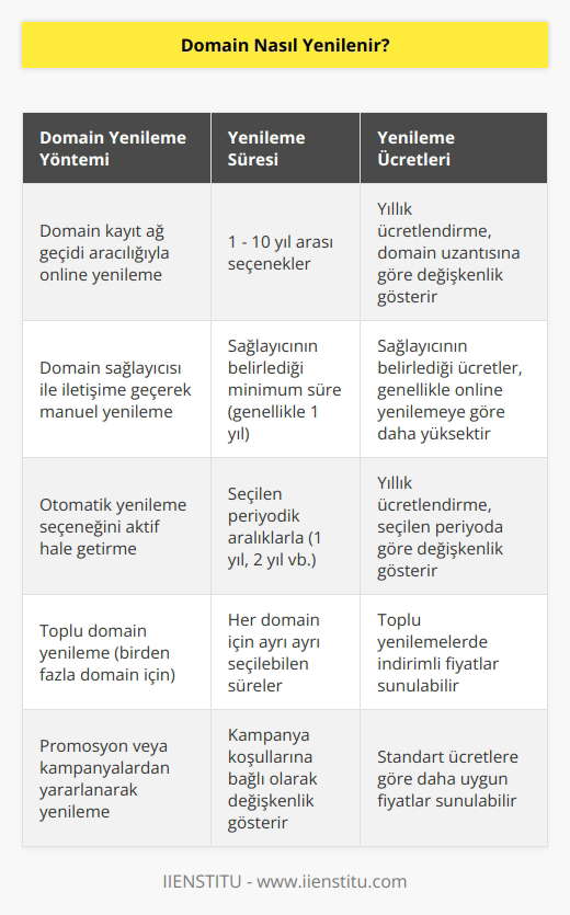 Domain yenileme işlemi, bir domainin kayıtlı sahibinin, domainin kayıt süresinin bitiminden önce ödeme yapmasıyla gerçekleşir. Domain yenileme süreci, domain kayıt ağ geçidi aracılığıyla yapılır. Domain kayıt ağ geçidi, domainin yenilenmesini yöneten bir servis sağlayıcıdır. Domain kayıt ağ geçidi, domainin kayıtlı sahibinin ödeme yapmasını ve domainin yenilenmesini sağlar. Domain kayıt ağ geçidi, ayrıca domainin kayıtlı sahibine kayıt süresinin bitiminden önce uyarı mesajları gönderir.