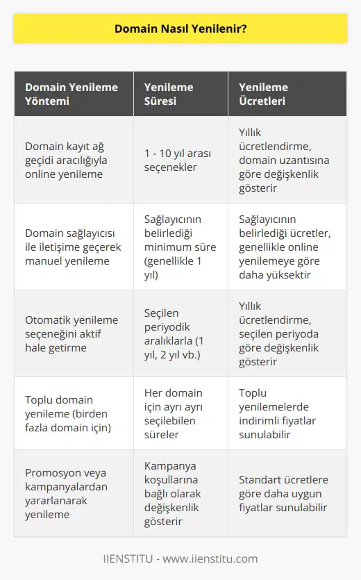Domain yenileme işlemi, bir domainin kayıtlı sahibinin, domainin kayıt süresinin bitiminden önce ödeme yapmasıyla gerçekleşir. Domain yenileme süreci, domain kayıt ağ geçidi aracılığıyla yapılır. Domain kayıt ağ geçidi, domainin yenilenmesini yöneten bir servis sağlayıcıdır. Domain kayıt ağ geçidi, domainin kayıtlı sahibinin ödeme yapmasını ve domainin yenilenmesini sağlar. Domain kayıt ağ geçidi, ayrıca domainin kayıtlı sahibine kayıt süresinin bitiminden önce uyarı mesajları gönderir.