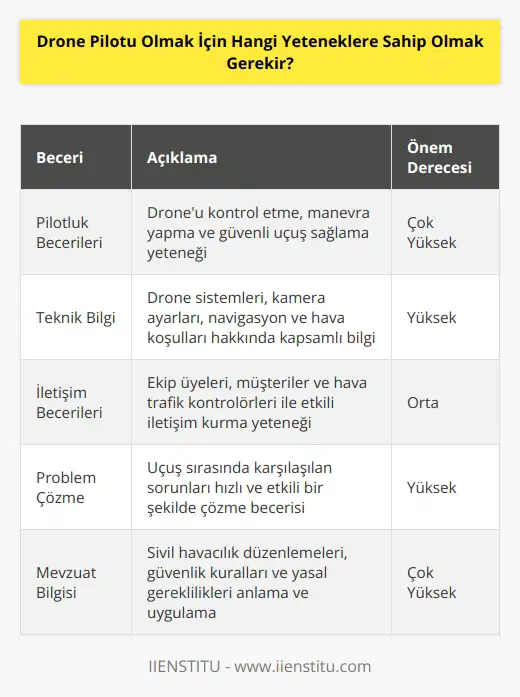 1. Pilotluk becerileri ve kabiliyetleri 2. Uçuş kontrolü, hava koşulları ve navigasyon bilgisi 3. Sosyal, iletişim ve liderlik becerileri 4. Dron ve sistemlerinin teknik ayrıntılarını anlayabilme 5. Dronun kamera ayarlarını ve kontrollerini anlayabilme 6. Güvenlik düzenlemelerini anlama ve uygulama 7. Uçuşlarda karar verme, planlama ve problem çözme yeteneği 8. Videoyu ve fotoğrafı düzenleme becerisi 9. Uçuş Kontrol Yönetim Sistemleri (UYMS) ve uçuş kontrol kayıtları ile ilgili bilgi ve deneyim 10. Güvenlik kurallarını ve sivil havacılık düzenlemelerini anlama.