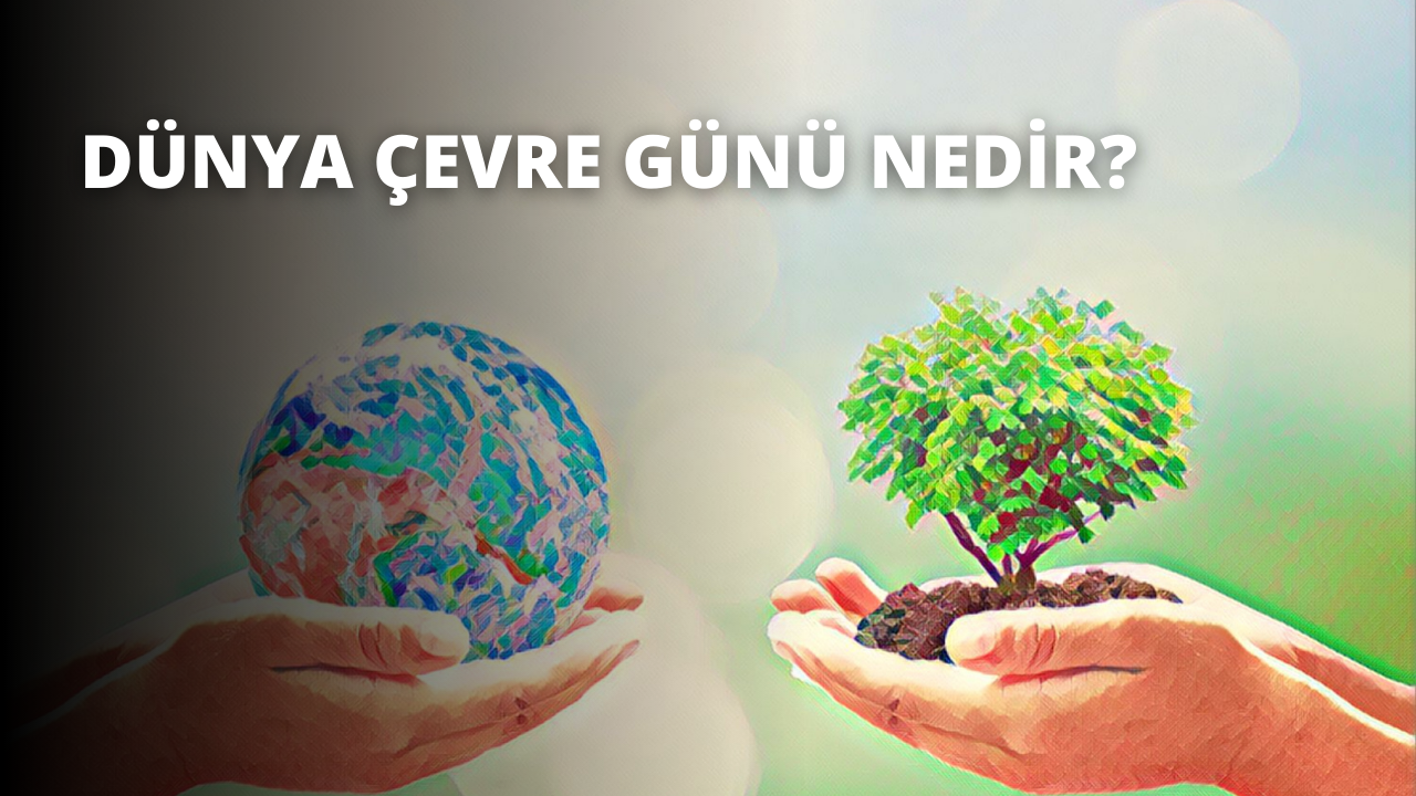 Dünya Çevre Günü Nedir?