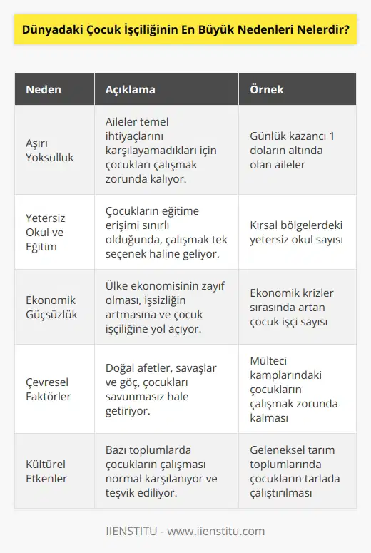 Dünyadaki çocuk işçiliğinin en büyük nedenleri; aşırı yoksulluk, yetersiz okul ve eğitim, ekonomik güçsüzlük, yetersiz iş imkanları, çevresel faktörler, kültürel etkenler ve insan hakları ihlalleri olarak sıralanabilir. Ayrıca, çocuk işçiliğini teşvik eden politika ve yasalara da uygunsuzluklar da bu durumu destekliyor.