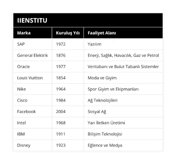 SAP, 1972, Yazılım, General Elektrik, 1876, Enerji, Sağlık, Havacılık, Gaz ve Petrol, Oracle, 1977, Veritabanı ve Bulut Tabanlı Sistemler, Louis Vuitton, 1854, Moda ve Giyim, Nike, 1964, Spor Giyim ve Ekipmanları, Cisco, 1984, Ağ Teknolojileri, Facebook, 2004, Sosyal Ağ, Intel, 1968, Yarı İletken Üretimi, IBM, 1911, Bilişim Teknolojisi, Disney, 1923, Eğlence ve Medya