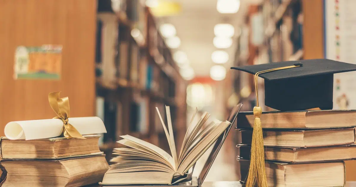 E-Sertifika Eğitimleri İle Kariyerinizi Yönlendirin