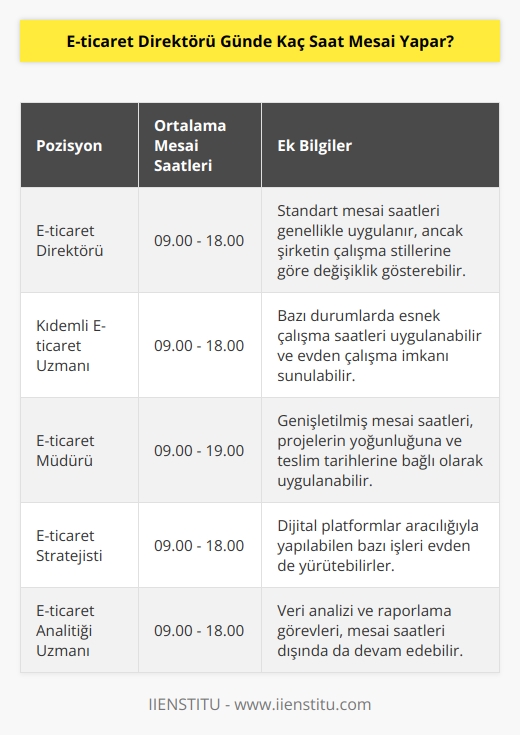 E-ticaret direktörleri daha çok özel şirketlerin bünyesinde çalıştıkları için mesai saatleri şirketin çalışma stillerine göre değişiklik gösterebilir. Genelde 09.00-18.00 arası standart mesai saatleri uygulanır. Dijital platformalar aracılığıyla da yapılabilen bazı işleri ise evden de yapabilirler.