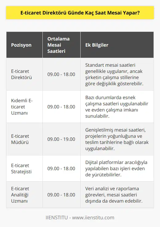 E-ticaret direktörleri daha çok özel şirketlerin bünyesinde çalıştıkları için mesai saatleri şirketin çalışma stillerine göre değişiklik gösterebilir. Genelde 09.00-18.00 arası standart mesai saatleri uygulanır. Dijital platformalar aracılığıyla da yapılabilen bazı işleri ise evden de yapabilirler.