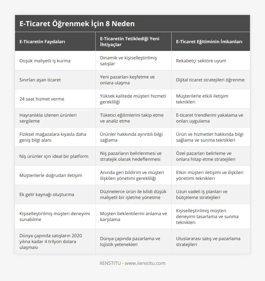 Düşük maliyetli iş kurma, Dinamik ve kişiselleştirilmiş satışlar, Rekabetçi sektöre uyum, Sınırları aşan ticaret, Yeni pazarları keşfetme ve onlara ulaşma, Dijital ticaret stratejileri öğrenme, 24 saat hizmet verme, Yüksek kalitede müşteri hizmeti gerekliliği, Müşterilerle etkili iletişim teknikleri, Hayranlıkla izlenen ürünleri sergileme, Tüketici eğilimlerini takip etme ve analiz etme, E-ticaret trendlerini yakalama ve onları uygulama, Fiziksel mağazalara kıyasla daha geniş bilgi alanı, Ürünler hakkında ayrıntılı bilgi sağlama, Ürün ve hizmetler hakkında bilgi sağlama ve sunma teknikleri, Niş ürünler için ideal bir platform, Niş pazarların belirlenmesi ve stratejik olarak hedeflenmesi, Özel pazarları belirleme ve onlara hitap etme stratejileri, Müşterilerle doğrudan iletişim, Anında geri bildirim ve müşteri ilişkileri yönetimi gerekliliği, Etkin müşteri iletişimi ve ilişkileri yönetimi teknikleri, Ek gelir kaynağı oluşturma, Düzinelerce ürün ile kilidi düşük maliyetli bir işletme yönetme, Uzun vadeli iş planları ve bütçeleme stratejileri, Kişiselleştirilmiş müşteri deneyimi sunabilme, Müşteri beklentilerini anlama ve karşılama, Kişiselleştirilmiş müşteri deneyimi tasarlama ve sunma teknikleri, Dünya çapında satışların 2020 yılına kadar 4 trilyon dolara ulaşması, Dünya çapında pazarlama ve lojistik yetenekleri, Uluslararası satış ve pazarlama stratejileri