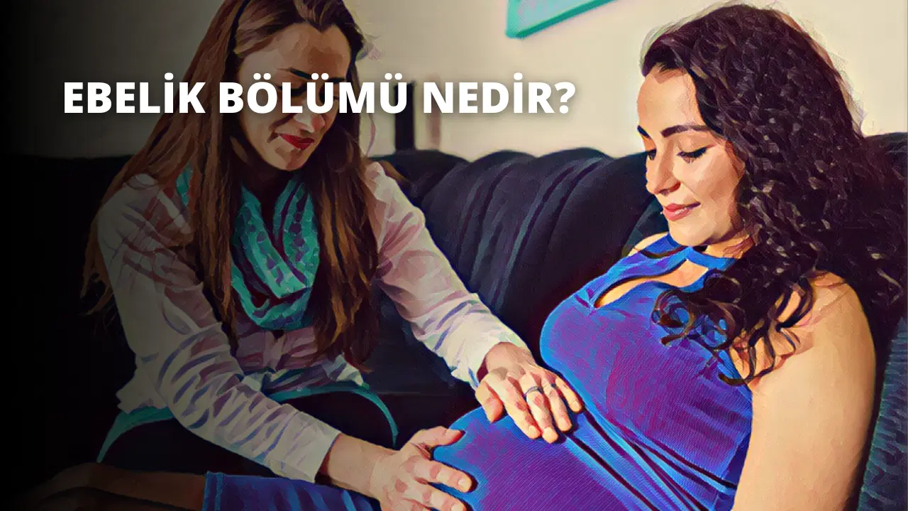 Ebelik Bölümü Nedir?