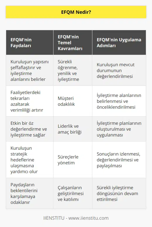 Kuruluşların yapılarını şeffaflaştıran, yürütülen iyileştirmelerin ve faaliyetlerdeki tekrarların azaltılarak verimliliğe katkıda bulunan, etkin öz değerlendirme ve iyileşme sağlayan bir araçtır.