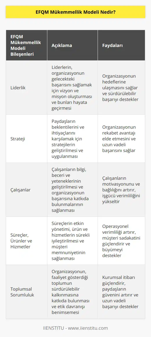 EFQM Mükemmellik Modeli,   nin sürekli gelişmesi ve yaygınlaşması için geliştirilen modellerden biridir. Organizasyonda iş stratejileri oluşturulmasını ve geliştirilmesini sağlayan bir toplam kalite tekniğidir.