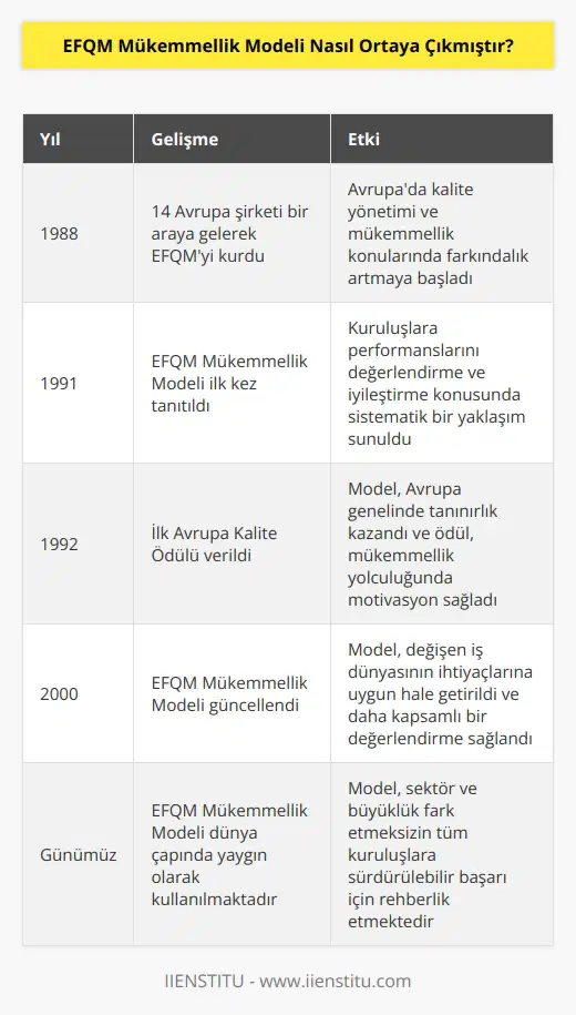 EFQM, kuruluşlara performanslarını iyileştirmesi konusunda yardımcı olmak üzere 1991 yılında EFQM Mükemmellik Modelini oluşturmuştur.