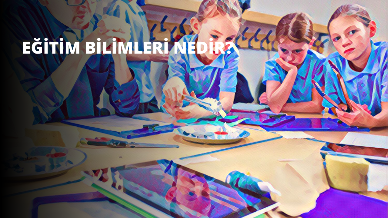 Eğitim Bilimleri Nedir?