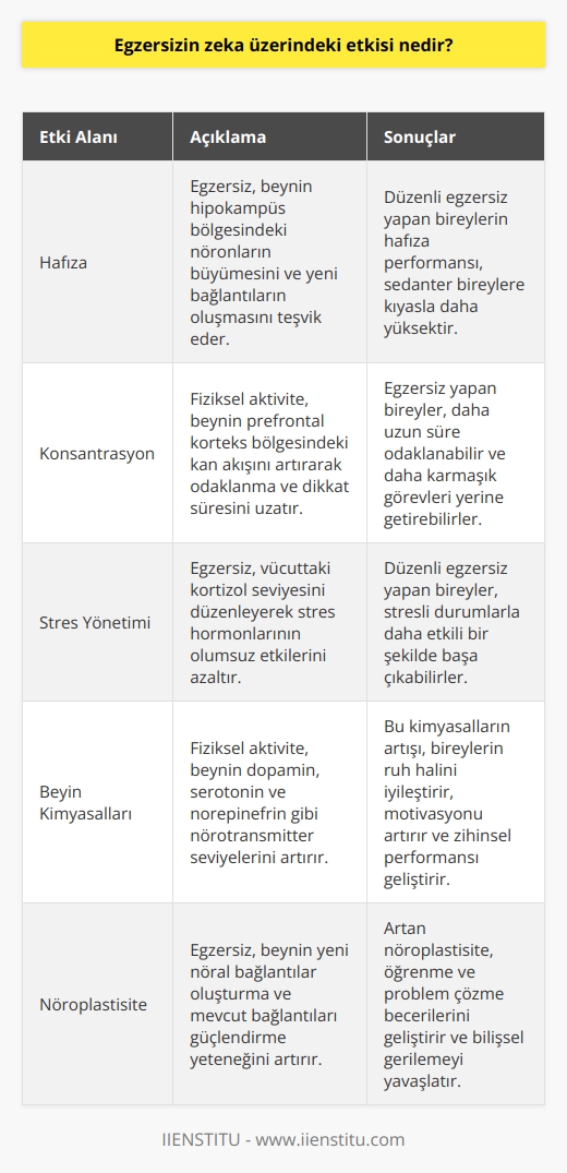 Egzersizin zeka üzerindeki etkisi, zihinsel yeteneklerin gelişimini destekleyerek beyin sağlığını artırmaya yardımcı olur. Egzersiz, hafıza üzerinde olumlu etkiler oluşturur ve konsantrasyonu arttırır. Ayrıca, egzersizin kortizol düzeyini azaltmasıyla, stresi azaltmaya yardımcı olması da beyin sağlığının iyileşmesinde etkili olur. Egzersiz, beynin kimyasal işlevlerini destekleyerek zihinsel yetenekleri arttırır.