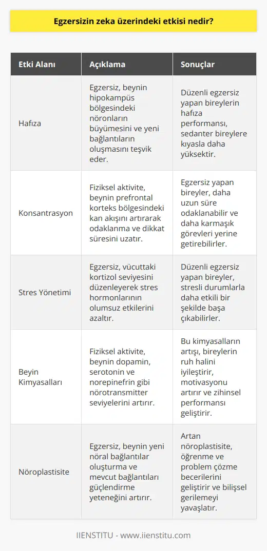 Egzersizin zeka üzerindeki etkisi, zihinsel yeteneklerin gelişimini destekleyerek beyin sağlığını artırmaya yardımcı olur. Egzersiz, hafıza üzerinde olumlu etkiler oluşturur ve konsantrasyonu arttırır. Ayrıca, egzersizin kortizol düzeyini azaltmasıyla, stresi azaltmaya yardımcı olması da beyin sağlığının iyileşmesinde etkili olur. Egzersiz, beynin kimyasal işlevlerini destekleyerek zihinsel yetenekleri arttırır.