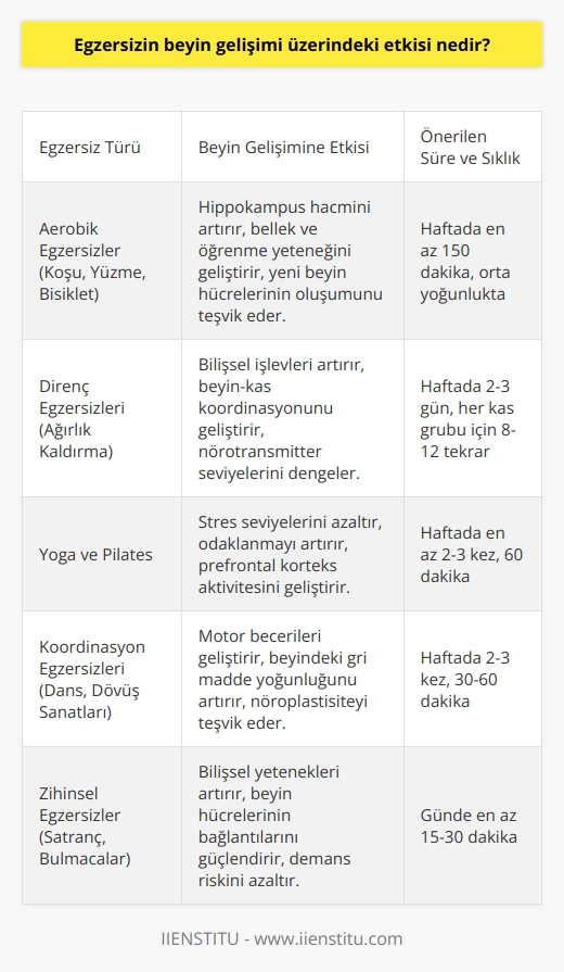 Egzersiz, beyin gelişimini destekleyen önemli bir etken olabilir. Çalışmalar, egzersizin beyin fonksiyonlarını iyileştirdiğini, bellek ve öğrenme yeteneğini arttırdığını ve hatta beyin yapısını değiştirdiğini göstermiştir. Egzersiz, beyin sağlığını destekleyen maddelerin üretimini ve dağıtımını arttırarak beyin hücrelerinin sağlığını koruduğu ve yeni hücreler oluşturduğu için beyin gelişimini arttırır. Aynı zamanda, egzersiz, stres hormonlarının seviyesini düşürür ve stresin beyin işlevlerine olumsuz etkisini azaltır. Beyin gelişimi için uzun vadeli egzersiz programları özellikle önerilir.