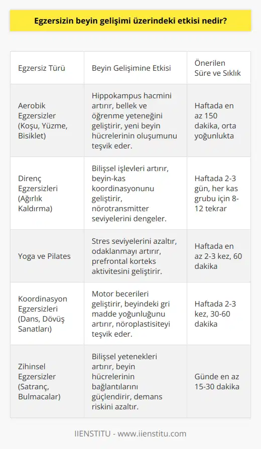Egzersiz, beyin gelişimini destekleyen önemli bir etken olabilir. Çalışmalar, egzersizin beyin fonksiyonlarını iyileştirdiğini, bellek ve öğrenme yeteneğini arttırdığını ve hatta beyin yapısını değiştirdiğini göstermiştir. Egzersiz, beyin sağlığını destekleyen maddelerin üretimini ve dağıtımını arttırarak beyin hücrelerinin sağlığını koruduğu ve yeni hücreler oluşturduğu için beyin gelişimini arttırır. Aynı zamanda, egzersiz, stres hormonlarının seviyesini düşürür ve stresin beyin işlevlerine olumsuz etkisini azaltır. Beyin gelişimi için uzun vadeli egzersiz programları özellikle önerilir.