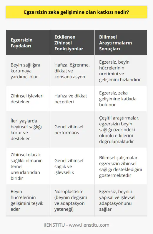 Egzersiz, zihinsel olarak sağlıklı olmanın temel unsurlarından biridir. Çeşitli araştırmalar gösteriyor ki, egzersiz, beyin sağlığını korumaya yardımcı olur ve zihinsel işlevleri destekler. İleri yaşlarda da beyinsel sağlığını koruma ve destekleme potansiyeline sahiptir.Yapılan çalışmalar, egzersizin, hafıza, öğrenme, dikkat ve konsantrasyonun gelişimine katkıda bulunduğunu ortaya koymuştur. Araştırmalar, egzersizin, beyin hücrelerinin üretimini ve gelişimini hızlandırdığını da ortaya koymuştur. Bu da, egzersizin, hafıza ve dikkat becerilerini geliştirerek zeka gelişimine katkıda bulunduğunu göstermektedir.
