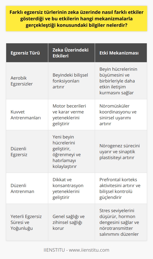 Egzersiz Türlerinin Zeka Üzerindeki Etkileri  Farklı türlerdeki egzersizlerin zekamız üzerinde çeşitli etkileri vardır. Örneğin, aerobik egzersizler, beyindeki bilişsel fonksiyonları artırabilirken, kuvvet antrenmanları daha çok motor becerileri ve karar verme yeteneklerini geliştirir. Egzersiz yapıldığında, vücut sağlık durumunu iyileştirir ve stresi azaltır. Bu, beyindeki hücrelerin büyümesini ve beyin hücrelerinin birbirleriyle daha etkin bir şekilde iletişim kurmasını sağlar.  Egzersizle Geliştirilen Beyin Hücreleri  Düzenli egzersizin, yeni beyin hücrelerini geliştirdiği biliniyor. Bu hücreler, öğrenmeyi ve birbirleriyle iletişim kurmayı sağlar. Egzersiz ile birlikte öğrenme, akılda kalan bilgilerin kalıcı hale gelmesine yardımcı olur. Bu, sürekli olarak yeni bilgiler edinmek ve bunları hatırlamak için önemlidir.  Teknoloji ve Sağlık  Teknoloji, hayatımızı kolaylaştırdığı kadar, hareket etme ihtiyacımızı da azalttığı için sağlık riskleri de oluşturabiliyor. Birçok kişi, bilgisayar başında uzun saatler geçiriyor, bu da fiziksel aktivitenin azalmasına ve dolayısıyla sağlık sorunlarının artmasına neden olmaktadır. Bu durumda, düzenli fiziksel aktivite, sağlığımızı koruma ve zekamızı geliştirme konusunda önemli bir rol oynuyor.  Düzenli Antrenman ve Konsantrasyon  Düzenli bir antrenman programına sahip olan bireyler, dikkat ve konsantrasyon yeteneklerini geliştirme konusunda daha başarılı oluyor. Yapılan araştırmalar, düzenli egzersiz yapanların, dikkat odaklı testlerde daha yüksek puan aldıklarını göstermiştir.  Sağlıklı Bir Yaşam İçin Egzersiz  Sağlıklı bir yaşam sürmek için ne kadar egzersiz yapmanız gerektiğini bilmeniz önemlidir. Genellikle, yetişkin bir bireyin haftada en az 150 dakika ılımlı yoğunluktaki aerobik egzersiz yapması öneriliyor. Ancak, sağlığınız ve yaşam tarzınıza bağlı olarak bu süre ve yoğunluk değişebilir.  Sonuç olarak, düzenli egzersiz hem vücut sağlığı hem de zihinsel sağlık için önemlidir. Egzersiz, beyin hücrelerinin gelişimine yardımcı olur, konsantrasyonu ve dikkati geliştirir ve stresi azaltır. Bu nedenle, aktif bir yaşam tarzı sürdürmek, sağlıklı bir beden ve zihin için temel bir unsurdur.