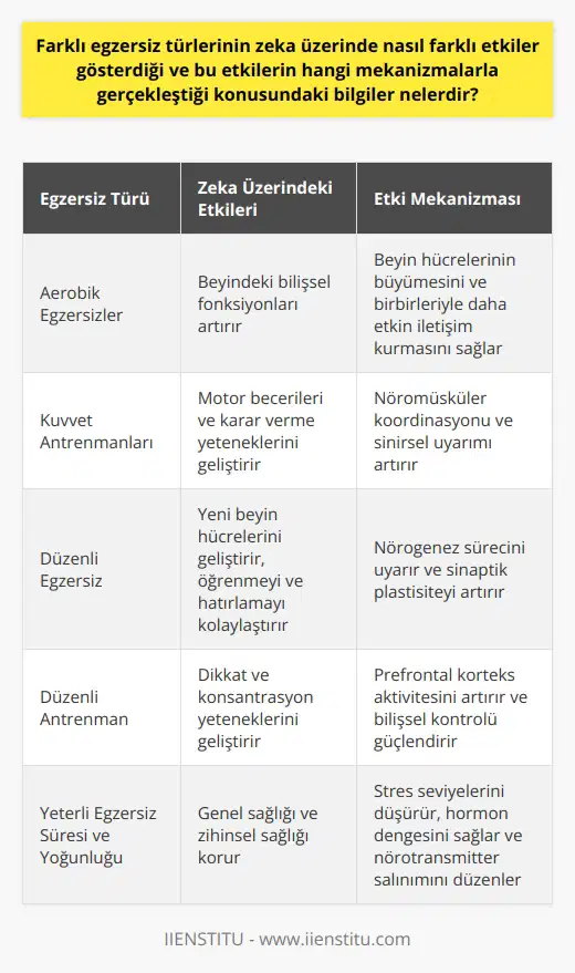 Egzersiz Türlerinin Zeka Üzerindeki Etkileri Farklı türlerdeki egzersizlerin zekamız üzerinde çeşitli etkileri vardır. Örneğin, aerobik egzersizler, beyindeki bilişsel fonksiyonları artırabilirken, kuvvet antrenmanları daha çok motor becerileri ve karar verme yeteneklerini geliştirir. Egzersiz yapıldığında, vücut sağlık durumunu iyileştirir ve stresi azaltır. Bu, beyindeki hücrelerin büyümesini ve beyin hücrelerinin birbirleriyle daha etkin bir şekilde iletişim kurmasını sağlar. Egzersizle Geliştirilen Beyin Hücreleri Düzenli egzersizin, yeni beyin hücrelerini geliştirdiği biliniyor. Bu hücreler, öğrenmeyi ve birbirleriyle iletişim kurmayı sağlar. Egzersiz ile birlikte öğrenme, akılda kalan bilgilerin kalıcı hale gelmesine yardımcı olur. Bu, sürekli olarak yeni bilgiler edinmek ve bunları hatırlamak için önemlidir. Teknoloji ve Sağlık Teknoloji, hayatımızı kolaylaştırdığı kadar, hareket etme ihtiyacımızı da azalttığı için sağlık riskleri de oluşturabiliyor. Birçok kişi, bilgisayar başında uzun saatler geçiriyor, bu da fiziksel aktivitenin azalmasına ve dolayısıyla sağlık sorunlarının artmasına neden olmaktadır. Bu durumda, düzenli fiziksel aktivite, sağlığımızı koruma ve zekamızı geliştirme konusunda önemli bir rol oynuyor. Düzenli Antrenman ve Konsantrasyon Düzenli bir antrenman programına sahip olan bireyler, dikkat ve konsantrasyon yeteneklerini geliştirme konusunda daha başarılı oluyor. Yapılan araştırmalar, düzenli egzersiz yapanların, dikkat odaklı testlerde daha yüksek puan aldıklarını göstermiştir. Sağlıklı Bir Yaşam İçin Egzersiz Sağlıklı bir yaşam sürmek için ne kadar egzersiz yapmanız gerektiğini bilmeniz önemlidir. Genellikle, yetişkin bir bireyin haftada en az 150 dakika ılımlı yoğunluktaki aerobik egzersiz yapması öneriliyor. Ancak, sağlığınız ve yaşam tarzınıza bağlı olarak bu süre ve yoğunluk değişebilir. Sonuç olarak, düzenli egzersiz hem vücut sağlığı hem de zihinsel sağlık için önemlidir. Egzersiz, beyin hücrelerinin gelişimine yardımcı olur, konsantrasyonu ve dikkati geliştirir ve stresi azaltır. Bu nedenle, aktif bir yaşam tarzı sürdürmek, sağlıklı bir beden ve zihin için temel bir unsurdur.