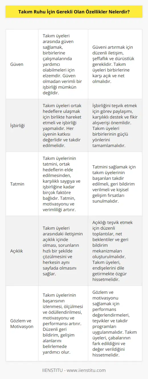 -Güven: Takım üyeleri arasında güven sağlamak önemlidir, böylece takım üyeleri birbirlerine çalışmalarında yardımcı olabilirler. -İşbirliği: Takım üyeleri birlikte hareket etmeli ve işbirliği yapmalıdır. -Tatmin: Takım üyelerinin tatmini sağlanmalıdır; ortak hedeflerin elde edilmesinden, karşılıklı saygıya ve işbirliğine kadar. -Açıklık: Takım üyeleri arasındaki iletişimin açıklık içinde olması gerekir. -Kabul: Takım üyelerinin her birinin katkılarını kabul etmeleri ve takım ruhunun gelişmesine katkıda bulunması gerekir. -Gözlem: Takım üyelerinin başarısının izlenmesi ve ölçülmesi gerekir. -Motivasyon: Takım üyelerinin motivasyonunu artırmak için ödüller ve teşvikler verilmelidir.