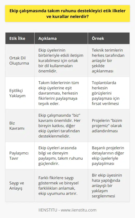Ekip çalışması, iş hayatında başarıya ulaşmanın en etkili yollarından biridir. Bu bağlamda, çok çalışanlı kurumlarda, ekip çalışmasında takım ruhunu taşıyabilmenin etik ilkeler ve kuralları vardır. Ekip çalışmasında ortak dilin oluşturulması, hizmet kalitesinin esaslarından biri olup, hizmet alan kitlenin güven duymasında etkin bir rol oynar. Bu da, liderlerin, kendi takımlarının çalışma planlarını hem mesleki kurallar, hem de kişisel tecrübelerden derleyerek, personelin kullanabileceği ortak bir dil oluşturmasını gerektirir. Destek Merkezi, Kurulum Ekibi, Eğitmen Kadrosu, İnternet Hizmetleri, Telefon Hizmetleri gibi çeşitli departmanlar ekipleriyle takım ruhunu taşır ve hizmetlerini verdikleri kitleye yönelik kurallar oluştururlar. Bu kurallar, ekip çalışmasında takım ruhunu destekleyici nitelikte olan etik ilkeler çerçevesinde düzenlenir ve onaylanır. Ekip çalışması, iş yerlerinde pozitif ve verimli bir çalışma ortamı sağlar. Takım liderlerinin eşitlikçi bir yaklaşımla hareket etmeleri, ekip üyelerinin mental ve fiziksel olarak işe katılımlarını teşvik eder. Ekip çalışmasında takım ruhu, biz kavramı üzerine kurulur ve her bireyin katkısı, ekipteki diğer bireyler tarafından desteklenir. Son olarak, ekip çalışmasında takım ruhunu destekleyici bir etik ilkeler ve kurallar seti oluştururken, paylaşımcı ve ego kavramından uzak bir tavır sergilenmeli ve herkesin fikirlerine saygı gösterilmelidir. Bu sayede, tek bir kişinin fikri bile, tüm ekibin ortak çabası ile uygulamaya geçer ve bu durum, fikir sahibinin biz algısını korumasını sağlar. Ben bu işe bakmıyorum, ben yalnız çalışıyorum, bu benim projem, bu benim fikrim... gibi bireyselci yaklaşımlar, ekip çalışmasında biz ruhunu taşıyamaz ve başarıyı engeller. Eğitmen Kadrosu, İnternet Hizmetleri, Telefon Hizmetleri gibi çeşitli departmanlar ekipleriyle takım ruhunu taşır ve hizmetlerini verdikleri kitleye yönelik kurallar oluştururlar. Bu kurallar, ekip çalışmasında takım ruhunu destekleyici nitelikte olan etik ilkeler çerçevesinde düzenlenir ve onaylanır. Sonuç olarak, ekip çalışması ve takım ruhu, kurumların başarısında önemli bir rol oynar ve bu süreçte etik ilkeler ve kuralların önemi büyüktür. Bu ilkeler ve kurallar, verimli bir çalışma ortamı sağlar ve hizmet kalitesini artırır.