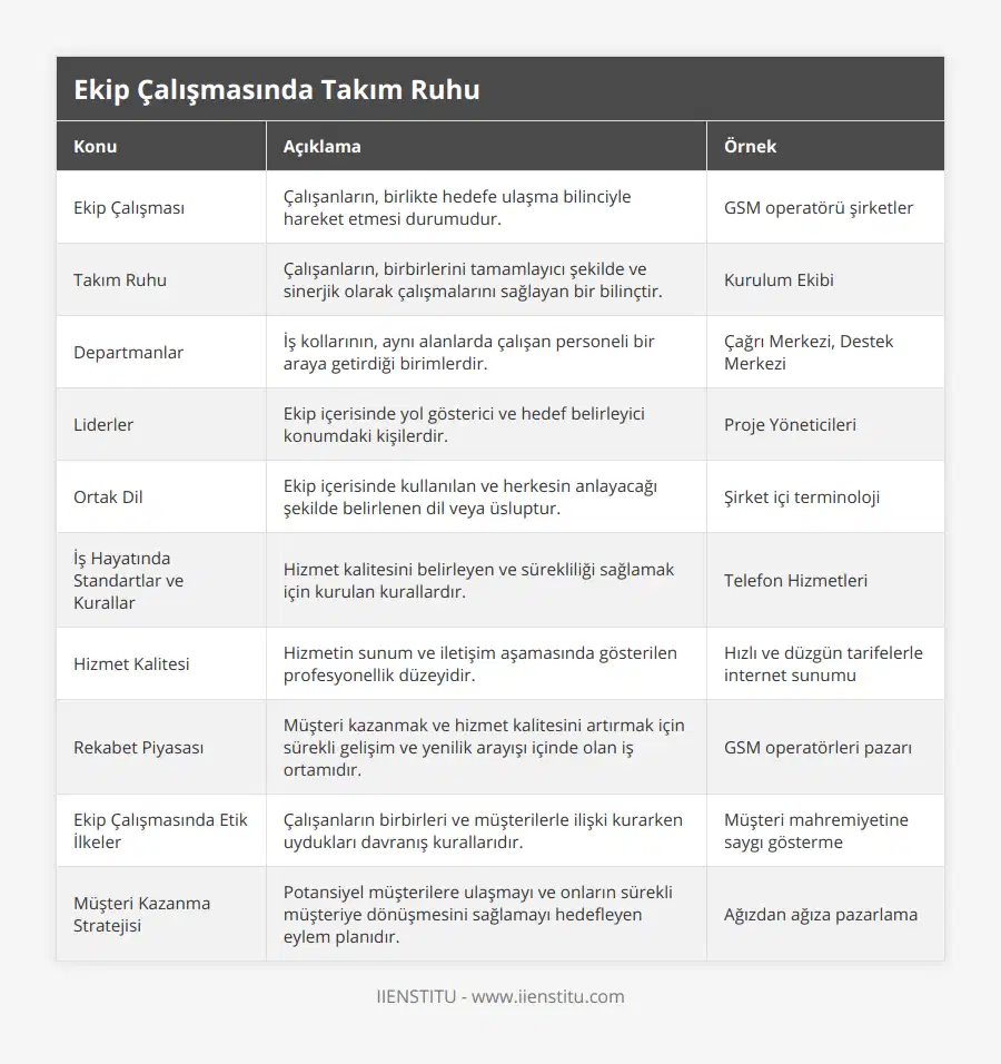 Ekip Çalışması, Çalışanların, birlikte hedefe ulaşma bilinciyle hareket etmesi durumudur, GSM operatörü şirketler, Takım Ruhu, Çalışanların, birbirlerini tamamlayıcı şekilde ve sinerjik olarak çalışmalarını sağlayan bir bilinçtir, Kurulum Ekibi, Departmanlar, İş kollarının, aynı alanlarda çalışan personeli bir araya getirdiği birimlerdir, Çağrı Merkezi, Destek Merkezi, Liderler, Ekip içerisinde yol gösterici ve hedef belirleyici konumdaki kişilerdir, Proje Yöneticileri, Ortak Dil, Ekip içerisinde kullanılan ve herkesin anlayacağı şekilde belirlenen dil veya üsluptur, Şirket içi terminoloji, İş Hayatında Standartlar ve Kurallar, Hizmet kalitesini belirleyen ve sürekliliği sağlamak için kurulan kurallardır, Telefon Hizmetleri, Hizmet Kalitesi, Hizmetin sunum ve iletişim aşamasında gösterilen profesyonellik düzeyidir, Hızlı ve düzgün tarifelerle internet sunumu, Rekabet Piyasası, Müşteri kazanmak ve hizmet kalitesini artırmak için sürekli gelişim ve yenilik arayışı içinde olan iş ortamıdır, GSM operatörleri pazarı, Ekip Çalışmasında Etik İlkeler, Çalışanların birbirleri ve müşterilerle ilişki kurarken uydukları davranış kurallarıdır, Müşteri mahremiyetine saygı gösterme, Müşteri Kazanma Stratejisi, Potansiyel müşterilere ulaşmayı ve onların sürekli müşteriye dönüşmesini sağlamayı hedefleyen eylem planıdır, Ağızdan ağıza pazarlama