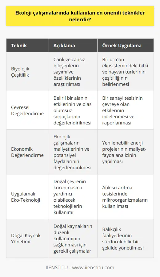 1. Biyolojik Çeşitlilik: Biyolojik çeşitlilik çalışmalarında, çevrenin canlı ve cansız bileşenleri sayılıp, özellikleri araştırılır.  2. Çevresel Değerlendirme: Çevresel değerlendirmeler, belirli bir tahsis alanının etkilerinin ve muhtemel olumsuz sonuçlarının değerlendirilmesini içerir.  3. Ekonomik Değerlendirme: Ekonomik değerlendirmeler, ekolojik çalışmaların maliyetlerini ve potansiyel faydalarını değerlendirmeyi içerir.  4. Uygulamalı Eko-Teknoloji: Uygulamalı eko-teknoloji, doğal çevrenin korunmasına yardımcı olabilecek teknolojilerin kullanımını içerir.  5. Doğal Kaynak Yönetimi: Doğal kaynak yönetimi, doğal kaynakların düzenli kullanımının sağlanması için gerekli çalışmaları kapsar.  6. Verimlilik Çalışmaları: Verimlilik çalışmaları, çevrenin fiziksel, biyolojik ve ekonomik kaynaklarının daha verimli bir şekilde kullanılmasını hedefler.