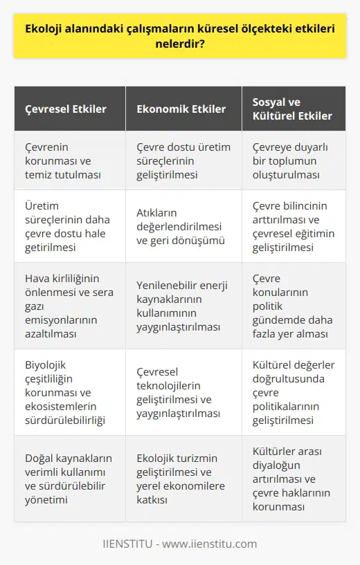 Küresel ölçekteki etkileri, ekoloji alanındaki çalışmaların çevresel, ekonomik, sosyal ve kültürel etkileri anlamına gelmektedir. Çevresel etkiler arasında çevrenin korunması ve temiz tutulması, üretim süreçlerinin daha çevre dostu hale getirilmesi, atık miktarının azaltılması, hava kirliliğinin önlenmesi, bitki ve hayvan çeşitliliğinin korunması, biyolojik çeşitliliğin arttırılması, biyoçeşitliliğin geliştirilmesi ve ekosistemlerin korunması bulunmaktadır. Ekonomik etkiler arasında ise çevreye dost üretim süreçlerinin geliştirilmesi, atıkların değerlendirilmesi, yenilenebilir kaynakların kullanılması, enerji tasarrufu, çevresel teknolojilerin geliştirilmesi, doğal çevrenin korunması ve turizm gelirlerinin arttırılması sayılabilir. Sosyal etkiler arasında ise çevreye duyarlı bir toplumun oluşturulması, çevre bilincinin arttırılması, çevresel eğitimin geliştirilmesi, çevre konularının gündeme getirilmesi ve çevresel konuların politikalar üzerinde gündeme getirilmesi sayılabilir. Kültürel etkiler olarak ise çevre politikalarının kültürel değerler doğrultusunda geliştirilmesi, çevrenin kültürel miras olarak görülmesi, kültürler arası diyalogun arttırılması ve çevre haklarının korunması sayılabilir.