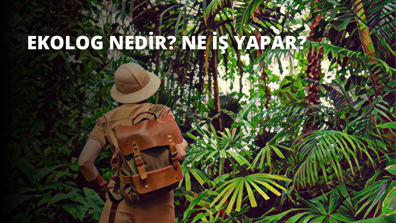 Ekolog Nedir? Ne İş Yapar?