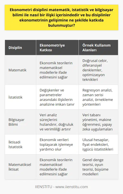 Ekonometri Disiplininin Matematik, İstatistik ve Bilgisayar Bilimi ile Olan İlişkisi Ekonometri, ekonomik verilerin analizi ve değerlendirmesi için matematik, istatistik ve bilgisayar bilimi disiplinlerinden yararlanan bir bilim dalıdır. Bu disiplinler, ekonometriye sağladıkları yöntemler ile ekonomik ölçümlerin doğruluğunu ve güvenilirliğini artırmada önemli bir katkıda bulunmuştur. Matematiksel ve İstatistiksel Yaklaşımların Ekonometriye Katkısı Ekonometri disiplini, matematiksel teorisyen ve ile yakından ilgilidir, bunlar ekonometrinin temel yapı taşlarıdır. Matematiksel iktisat, ekonomik teorilerin matematiksel modellerle ifade edilmesini sağlar, istatistik ise bu modellerde yer alan değişkenler ve parametreler arasındaki ilişkilerin analizine imkan tanır. İktisadi istatistik, ekonomik verileri toplayarak işlemeye yardımcı olurken, ekonometri ise bu verileri kullanarak iktisadi kuramların doğruluğunu test etmektedir. Bilgisayar Biliminin Ekonometriye Katkısı Bilgisayar bilimi, ekonometri disiplininin gelişiminde önemli bir rol oynamıştır. 1910lardan itibaren yazılım ve donanım gelişmeleri sayesinde, ekonometrik analizlerin gücü artmıştır. Günümüzde ekonometri analizleri bilgisayar ortamında gerçekleştirilmektedir, bu sayede veri analiz süreçleri hızlanır, doğruluk ve verimlilik artar. Ekonometrinin İncelendiği Üç Ana Konu Başlığı Ekonometri, genellikle üç ana konu başlığı altında incelenir. İlk olarak, ekonomik ilişkilerin incelenmesi ve değerlendirilmesi gerçekleştirilir. İkinci olarak, ekonomik davranışlarla ilgili önsavların test edilmesi söz konusudur. Son olarak, ekonomik büyüklükler için tahminler (yordama) yapılmaktadır. Sonuç olarak, ekonometri disiplini, matematik, istatistik ve bilgisayar bilimi disiplinlerinden faydalanarak ekonomik verilerin analizini gerçekleştirir. Bu disiplinler, ekonometrinin gelişimine ve ekonomik ölçümlerin doğruluğuna önemli katkılar sağlamıştır, böylece daha sağlam ve güvenilir ekonometrik analizler yapılabilmiştir.