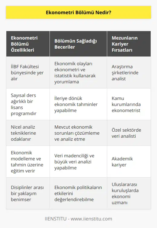 İİBF Fakültesinde yer alan sayısal ders ağırlıklı bir lisans bölümüdür. Herhangi bir iktisadi olayın ekonometri ve istatistik kullanarak yorumlanması ve ileriye dönük tahmin yapılmasını sağlayan bir bölümdür. Nicel analiz tekniklerini kullanarak var olan ekonomik sorunları çözümleme ve analiz etme yeteneğine sahip elemanlar yetiştirir.