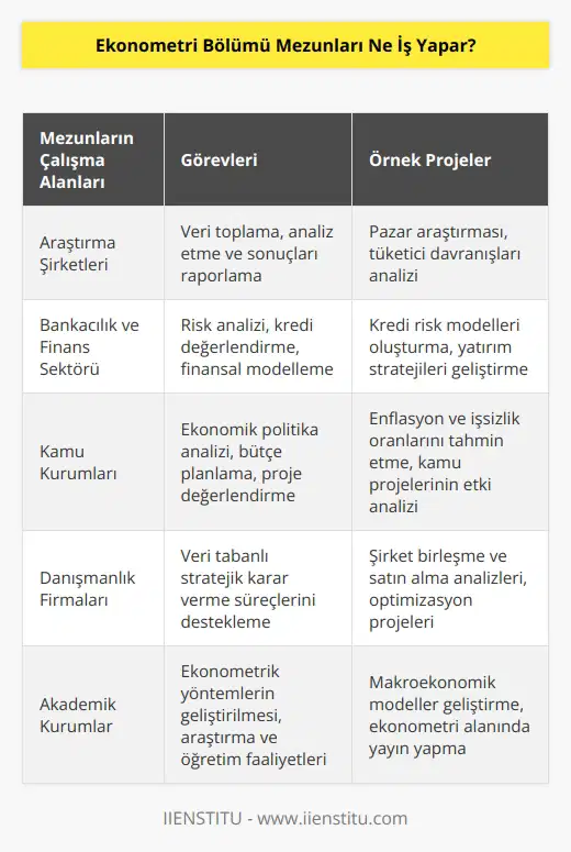 Genel anlamda gerçek dünya verilerini istatistiki araştırmalara tabi tutarak sonuçları test edilen teorilerle karşılaştırırlar. Bir veri seti elde edip analizini yaparlar. Çalıştıkları şirketlerde verimlilik artışı sağlamak adına çalışmalar düzenlerler.