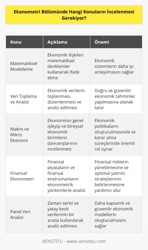 Ekonometri Bölümünde incelenmesi gereken konular; matematiksel modelleme, veri toplama ve analizi, istatistiksel öngörü, makro ve mikro ekonomi, finansal ekonometri, ekonomik tahmin, ekonomik optimizasyon, ekonometrik yöntemler, makro ekonometrik modeller, panel veri analizi, ekonometrik düzenleme ve tahmin, sermaye piyasaları ekonometrisi.