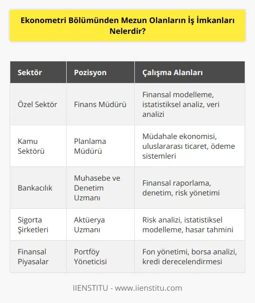 Ekonometri bölümünden mezun olanlar genellikle özel ve kamu sektöründeki işletmelerin finans, planlama, veri analizi ve pazarlamadan sorumlu müdürleri olarak çalışmaktadır. Ekonometri mezunları aynı zamanda veri analizi, finansal modelleme, istatistiksel analiz, bankacılık, müdahale ekonomisi, uluslararası ticaret veya ödeme sistemleri gibi alanlarda da çalışabilir. Ekonometri mezunları ayrıca kamu sektöründeki finansal kurumların ve özel sektördeki bankaların, sigorta şirketlerinin ve finansal aracı kurumların muhasebe, analiz ve denetim departmanlarında da çalışabilir. Ekonometri mezunları ayrıca, fon yönetimi, borsa ve finansal piyasa analizi, kredi derecelendirmesi, uluslararası finans ve portföy yönetiminde de çalışabilir.