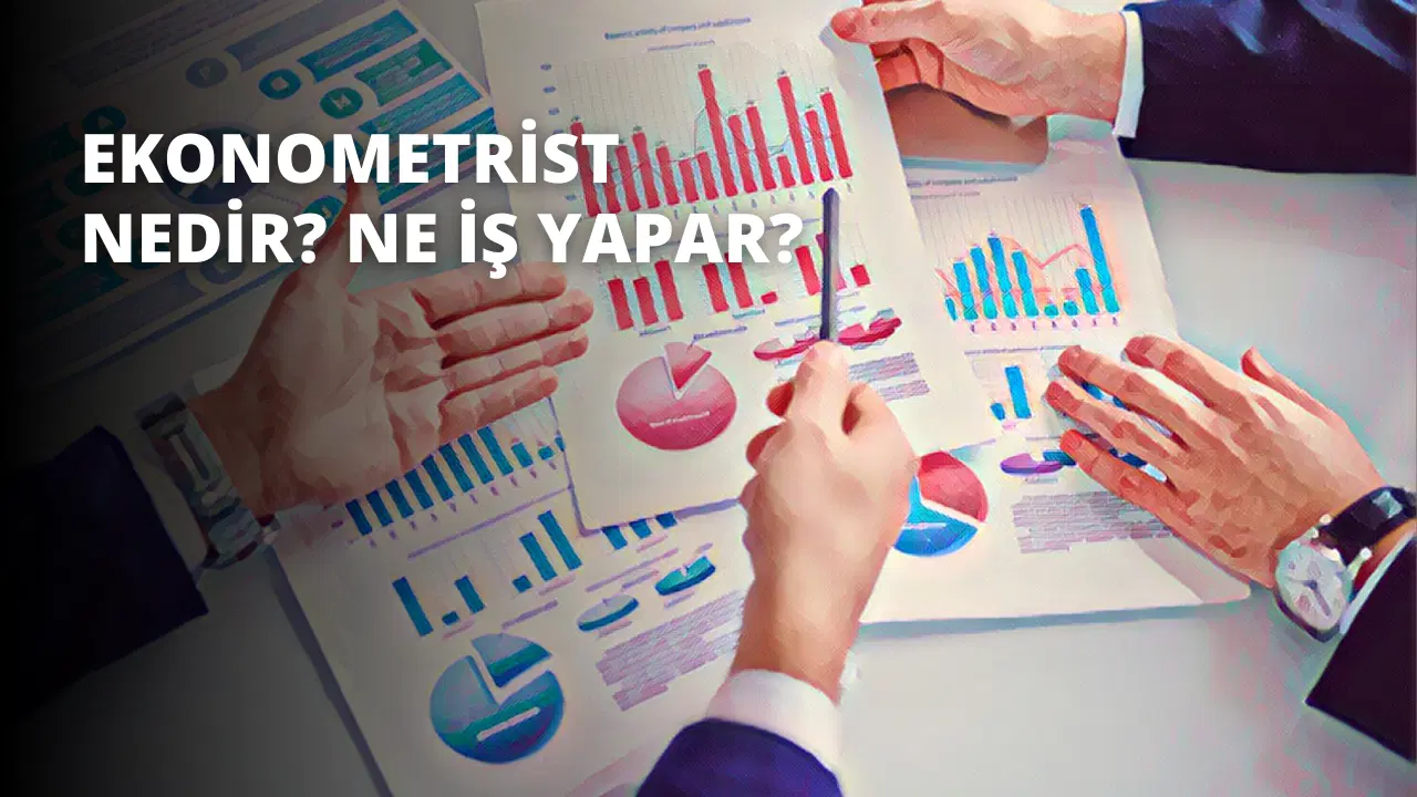 Ekonometrist Nedir? Ne İş Yapar?
