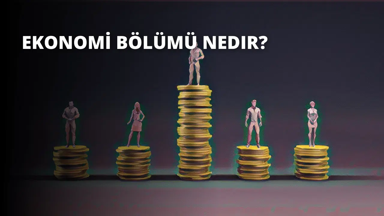 Ekonomi Bölümü Nedir?