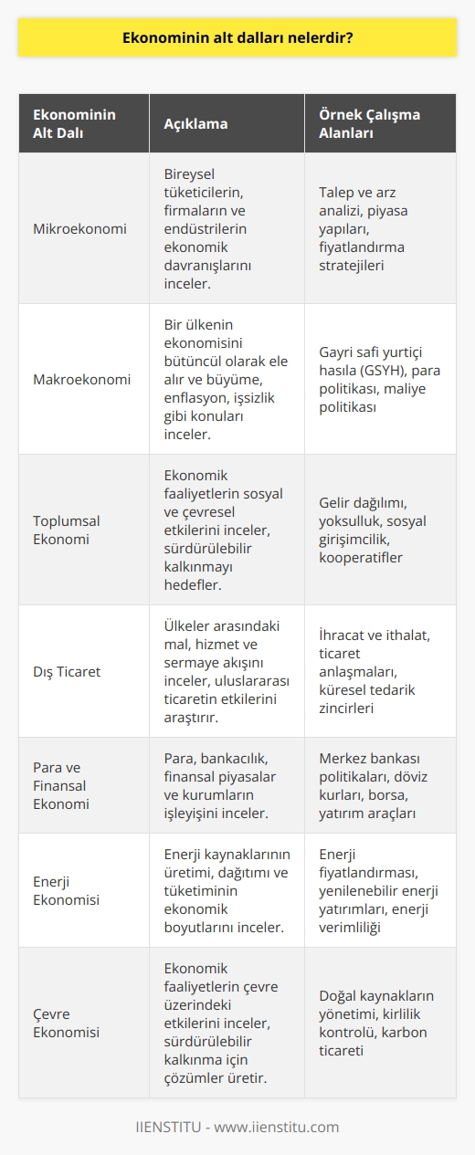 Ekonominin alt dalları, mikroekonomi, makroekonomi, toplumsal ekonomi, dış ticaret, para ve finansal ekonomi, enerji ekonomisi ve çevre ekonomisi gibi dallardır.