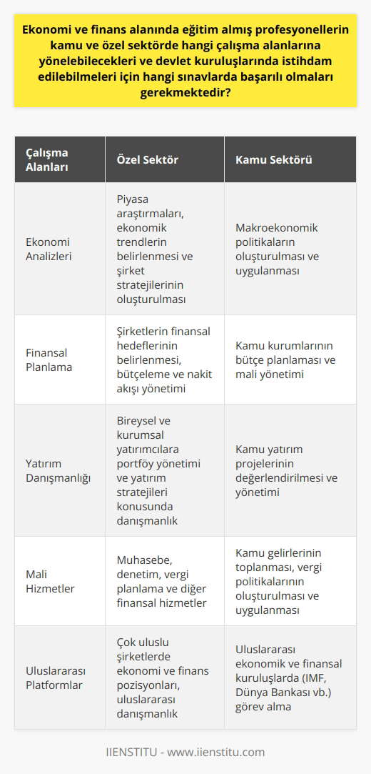 Ekonomi ve finans alanında eğitim almış profesyonellerin hem özel hem de kamu sektöründe güçlü bir çalışma alanı bulunmaktadır. Özellikle küreselleşen dünyada bu alanda bilgi sahibi olan profesyonellerin değeri her geçen gün artmaktadır. Özel sektörde genellikle ekonomi analizleri, finansal planlama, yatırım danışmanlığı ve mali hizmetler gibi konular üzerine yoğunlaşırlar. Kamu sektöründe ise, ekonomi ve finans profesyonelleri genellikle maliye bakanlıkları, merkez bankaları, devlet planlama teşkilatları ve benzeri kurumlarda istihdam edilirler. Özellikle maliye politikalarının uygulanması, ekonomik stratejilerin belirlenmesi ve özellikle finansal kaynakların yönetilmesi gibi konularda görev yaparlar. Bu kuruluşlarda istihdam edilmeleri için Kamu Personeli Seçme Sınavında (KPSS) belirlenen başarı düzeyine ulaşmaları gerekmektedir. Kısacası, ekonomi ve finans sektöründe eğitim almış profesyonellerin çalışma alanları oldukça geniştir ve sadece kendi ülkelerinde değil, uluslararası platformda da yoğun talep bulmaktadırlar. Ayrıca bu alanda eğitim alan kişilerin, yüksek analitik düşünme yeteneği, matematiksel beceriler, pazar dinamiklerini anlama ve ekonomik eğilimleri tahmin etme yetenekleri, hem özel sektör hem de kamu sektöründe değerli kılarak başarılı olmalarını sağlamaktadır.