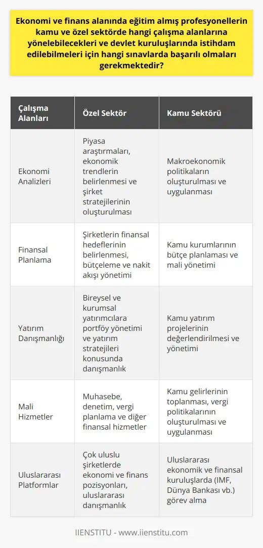 Ekonomi ve finans alanında eğitim almış profesyonellerin hem özel hem de kamu sektöründe güçlü bir çalışma alanı bulunmaktadır. Özellikle küreselleşen dünyada bu alanda bilgi sahibi olan profesyonellerin değeri her geçen gün artmaktadır. Özel sektörde genellikle ekonomi analizleri, finansal planlama, yatırım danışmanlığı ve mali hizmetler gibi konular üzerine yoğunlaşırlar. Kamu sektöründe ise, ekonomi ve finans profesyonelleri genellikle maliye bakanlıkları, merkez bankaları, devlet planlama teşkilatları ve benzeri kurumlarda istihdam edilirler. Özellikle maliye politikalarının uygulanması, ekonomik stratejilerin belirlenmesi ve özellikle finansal kaynakların yönetilmesi gibi konularda görev yaparlar. Bu kuruluşlarda istihdam edilmeleri için Kamu Personeli Seçme Sınavında (KPSS) belirlenen başarı düzeyine ulaşmaları gerekmektedir. Kısacası, ekonomi ve finans sektöründe eğitim almış profesyonellerin çalışma alanları oldukça geniştir ve sadece kendi ülkelerinde değil, uluslararası platformda da yoğun talep bulmaktadırlar. Ayrıca bu alanda eğitim alan kişilerin, yüksek analitik düşünme yeteneği, matematiksel beceriler, pazar dinamiklerini anlama ve ekonomik eğilimleri tahmin etme yetenekleri, hem özel sektör hem de kamu sektöründe değerli kılarak başarılı olmalarını sağlamaktadır.