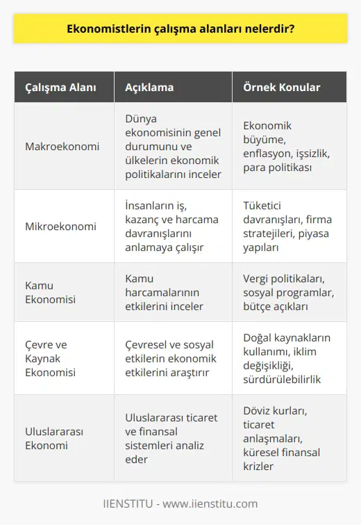 Ekonomistler çeşitli alanlara bakarak, çok sayıda faktörden etkilenen ekonomik süreçleri anlamaya ve öngörmeye çalışırlar. Ekonomistler, dünya ekonomisinin genel durumu üzerinde çalışabilir ve ülkelerin ekonomik politikalarını tasarlayabilir; insanların iş, kazanç ve harcama davranışlarını anlamaya çalışabilir ve kamu harcamalarının etkilerini inceleyebilir; mevcut ekonomik durumu ve trendleri analiz edebilir; çevresel ve sosyal etkilerin ekonomik etkilerini inceleyebilir; ve uluslararası ticaret ve finansal sistemleri anlayabilirler.